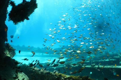 Fundu Lagoon, Pemba