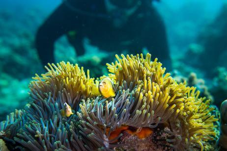 Manta Resort, Pemba